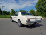 Ford Mustang 289 V8 Bj. 1966 - gebrauchte Ford Mustang aus dem Jahr 1966