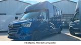Renault Master 3-Sitzer Pferdetransporter - Tier-/Pferdetransport 3 pferde