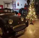 Austin Healey Sprite Mark I / Frogeye - Austin Healey: Frogeye