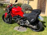 Ducati Monster 821  *Zahnriemen NEU!* - DUCATI MONSTER 821