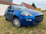 Fiat FIAT Punto - gebrauchte Fiat Punto aus dem Jahr 2011