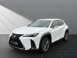 Lexus UX 250h*F-SPORT-D.*1.HD*ALLW.REIF** 15J-GARANTIE - Lexus aus 2023