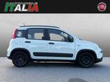 Fiat Panda City Life 1.0 Hybrid *8-Fach* - Fiat Panda CITY-LIFE
