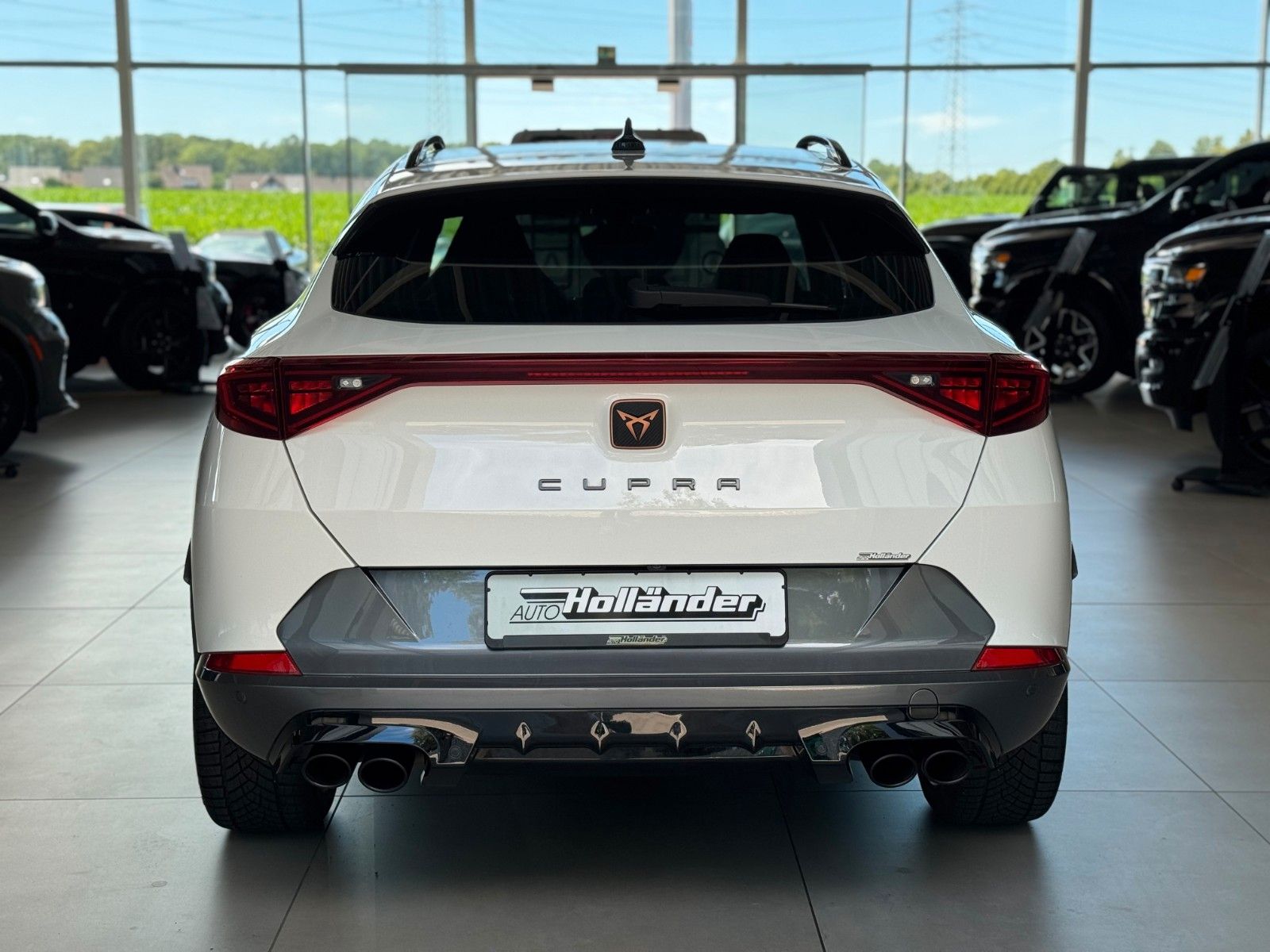 Fahrzeugabbildung CUPRA Formentor 2.0 TSI VZ 4Drive  "AHK  Brembo PANO"