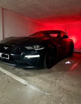 Ford Mustang 5.0 Ti-VCT V8 GT Auto GT - Ford Mustang Gebrauchtwagen in Dresden