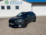 Cupra Formentor VZ 2.0 TSI DSG AKRA eSITZ MATT PANO - Cupra Formentor Matt Gebrauchtwagen