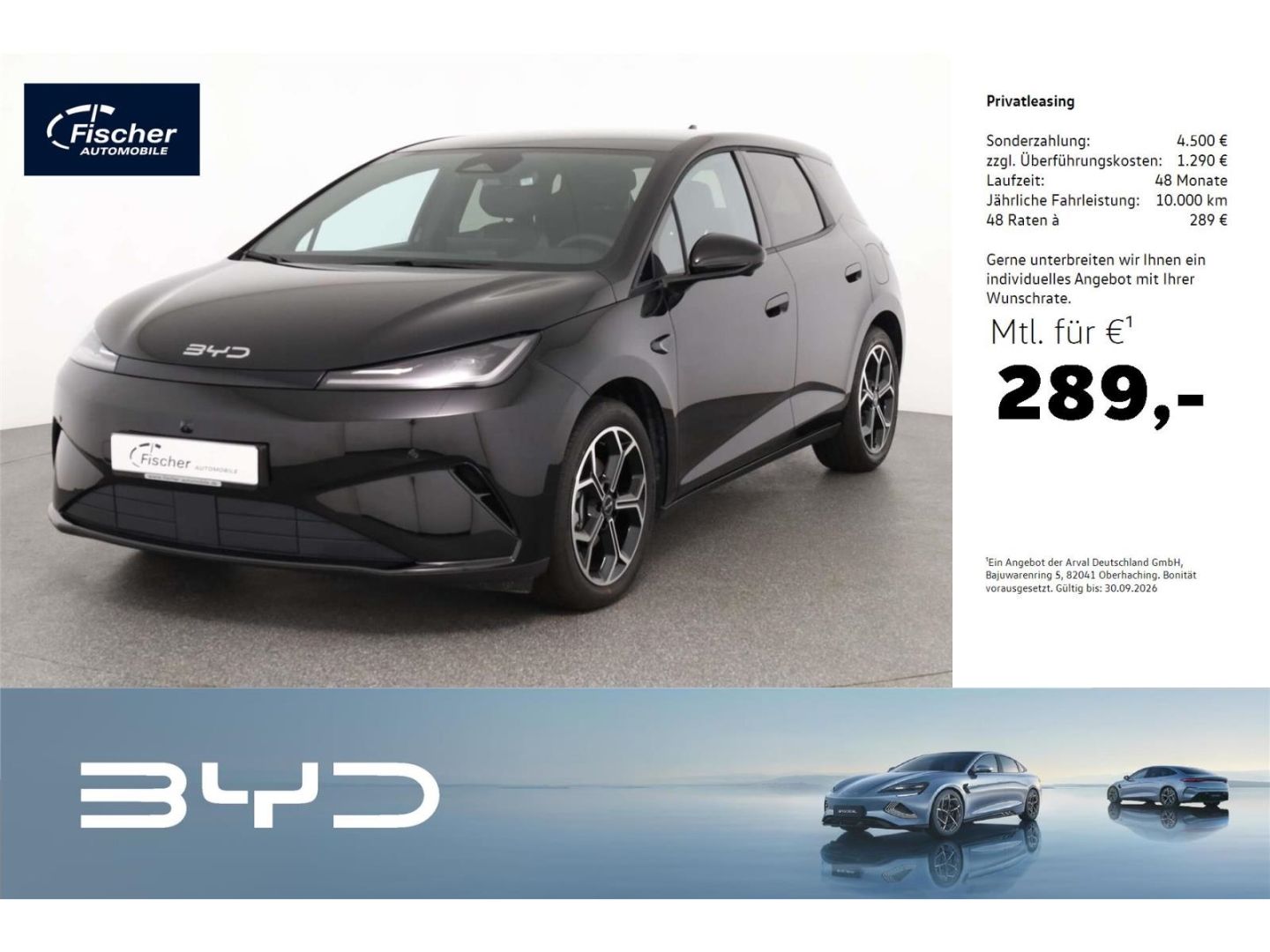 BYD DOLPHIN