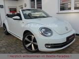 Volkswagen Beetle 1.2TSI Allstar Plus Xenon LED Kamera AppC - Volkswagen Beetle ALLSTAR mit Benzin-Antrieb