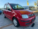 Fiat Panda 1.2 8V Dynamic - gebrauchte Fiat Panda aus dem Jahr 2009