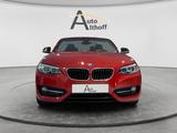 BMW 220i Cabrio BI-XENON LEDER PDC BT NAV SHZ TEMP - BMW Gebrauchtwagen in Ludwigsburg