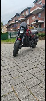 Benelli Leoncino 500 - Angebote
