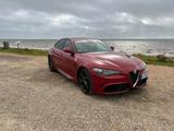 Alfa Romeo Giulia Quadrifoglio 2.9 V6 Bi-Turbo 375 kW A... - Alfa Romeo Giulia: Quadrifoglio