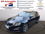 Skoda Octavia Combi RS 4x4 Panoramadach ACC - Skoda Octavia: Winterreifen