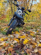 Hyosung Gv 125 S - Offers