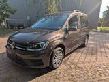 Volkswagen Caddy 1,4TSI 92kW Comfortline 5-Sitzer,Xenon-LED - : 5.9