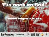 Skoda Fabia Selection 1.0 TSI Spurhalteass. Notbremsas - Skoda Fabia Tageszulassungen mit Benzin-Antrieb