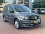 Volkswagen Caddy Maxi Highline 4Motion 1.Hand Standh. AHK - Volkswagen Caddy Maxi: 4motion