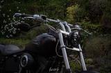 Harley-Davidson Night Train FXSTB|103 Cui|J&H|Custom|TÜV neu| - HARLEY-DAVIDSON NIGHT FXSTB TRAIN
