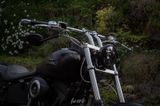 Harley-Davidson Night Train FXSTB|103 Cui|J&H|Custom|TÜV neu| - Offers matching your search criteria