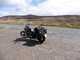 Honda VT600 Shadow - HONDA VT 600