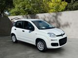 Fiat Panda Easy/1.Hand/Klima/Euro6 - Fiat Panda EASY mit Benzin-Antrieb