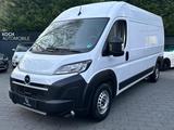 Opel Movano Kasten H2 35 L3H2 |Uconnect 10.1 Display - Opel Movano in Bielefeld