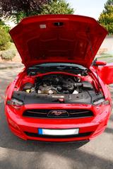 Ford Mustang V6 - Ford: Unfallwagen