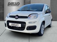 Fiat Panda - Vorschau Bild 1