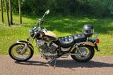 Yamaha Virago 535 - YAMAHA 1997 VIRAGO 535