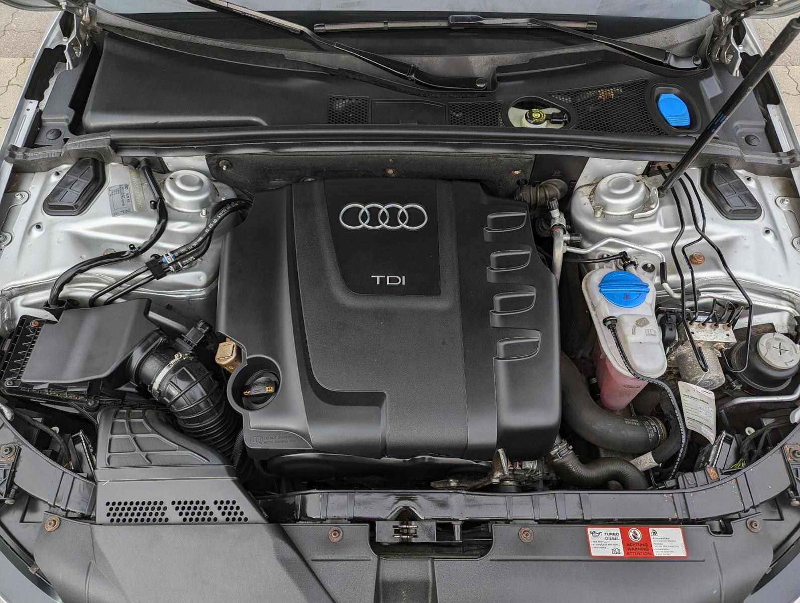 Audi Quattro 2009 — photo 20