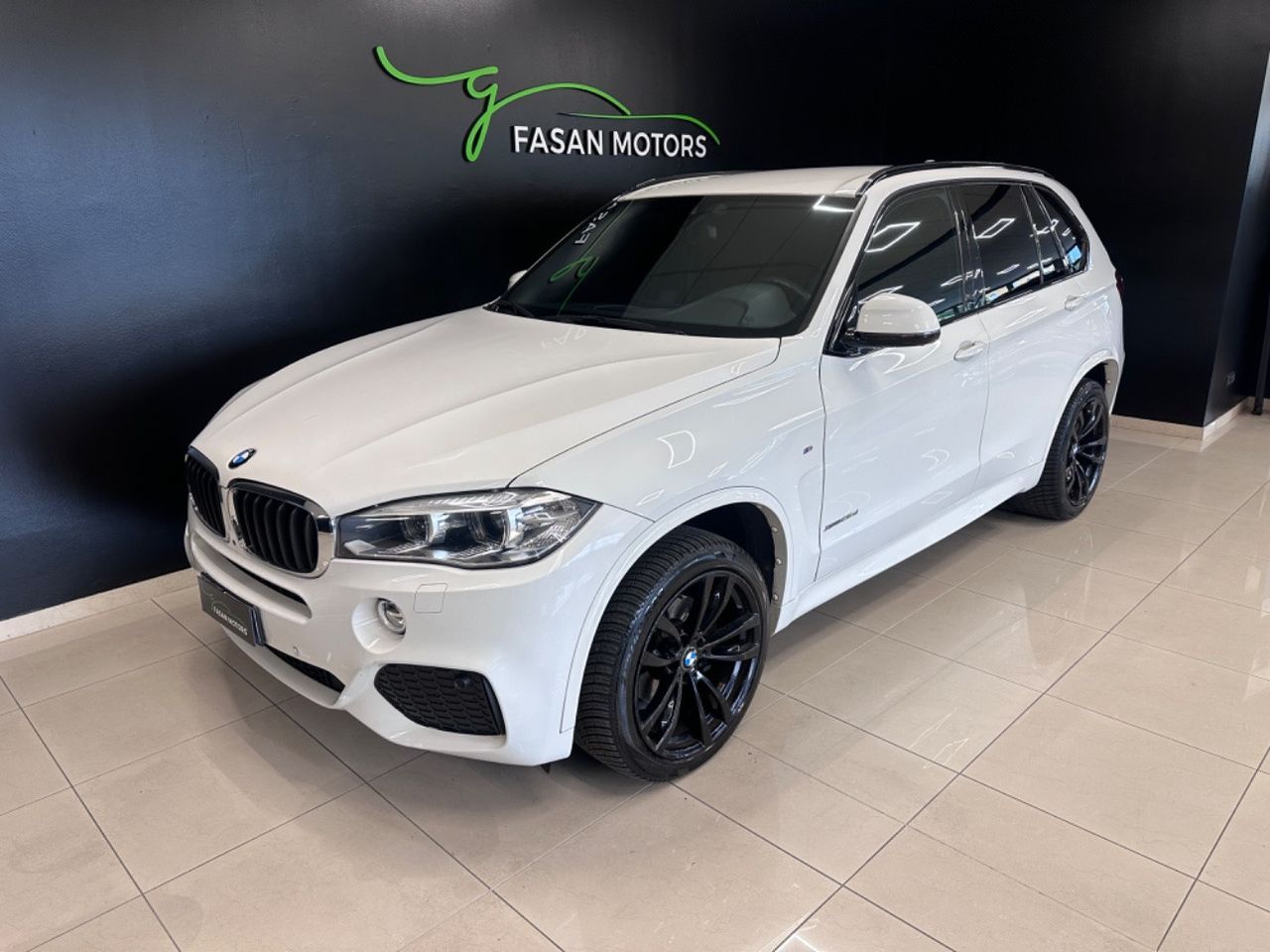 BMW BMW X5 xdrive25d Luxury 231cv auto