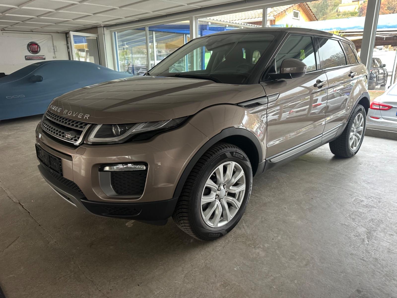 Land Rover Range Rover Evoque SE Panorama Kamera WinterP.