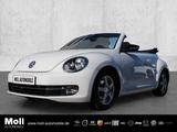 Volkswagen Beetle Cabriolet Club BMT El. Verdeck Navi Mehrz - gebrauchte VW Beetle aus dem Jahr 2015