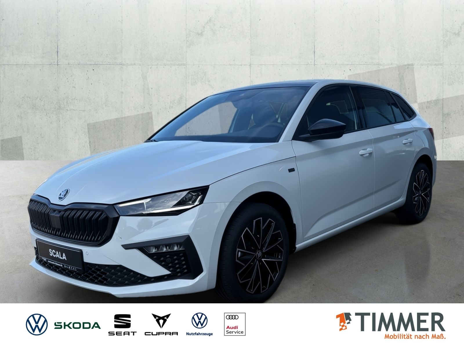 Skoda Scala TOUR 1.0 TSI DSG*ACC*PDC*SHZ*TEMPO*AHK*NAV