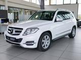 Mercedes-Benz GLK 220 CDI 4M,Navi,Parkassist,Klimaautom,Sitzh. - Mercedes-Benz: Glk