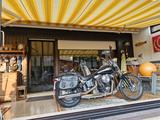 Harley-Davidson Springer Softail - HARLEY-DAVIDSON 1998 SOFTAIL