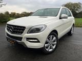 Mercedes-Benz ML 250 BlueTEC 4MATIC - - Mercedes-Benz ML 250 aus 2014
