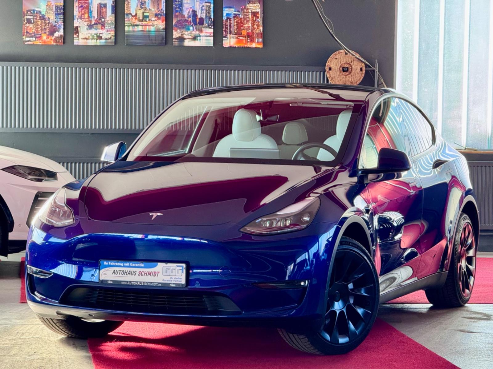 Tesla Model Y Long Range Dual AWD Autopilot 20Zoll MwS