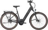 Pegasus STRONG EVO 5R Rücktritt 28" XL - Pegasus E-Bikes