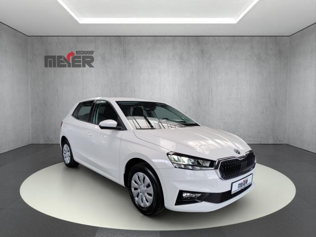 Fabia Selection 1.0 TSI Klima Einparkhilfe