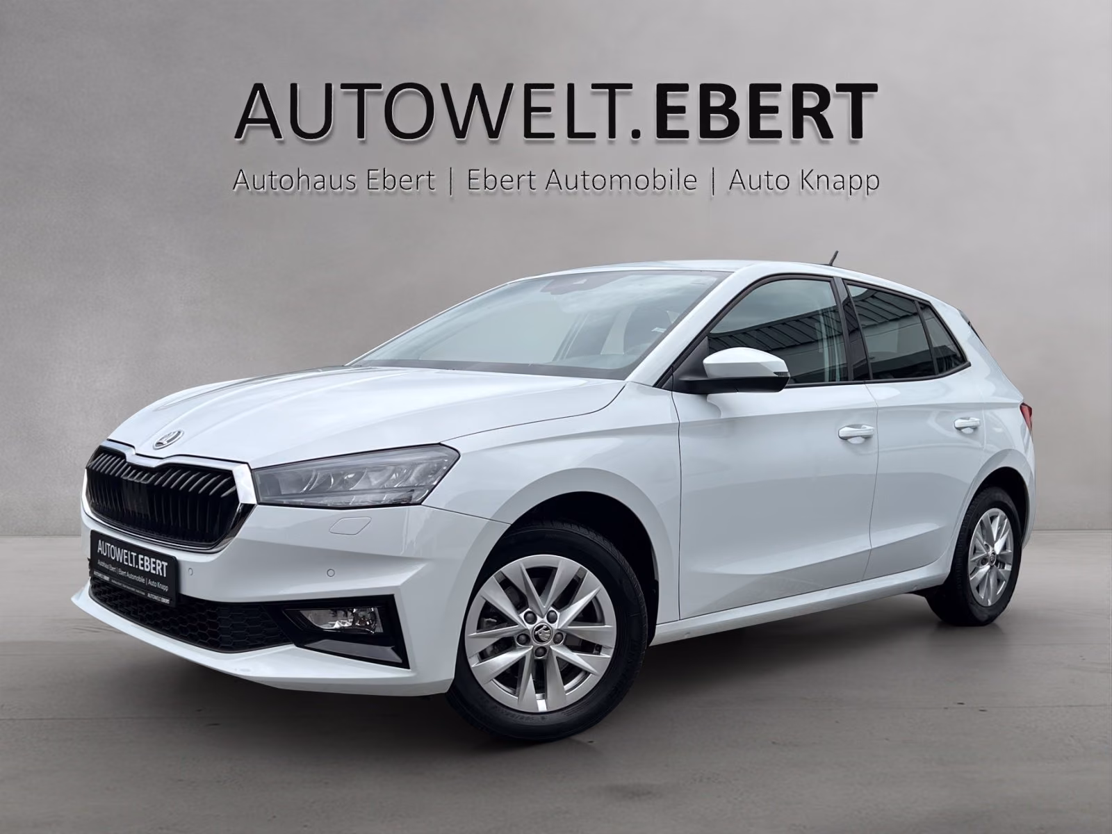 Skoda Fabia 1.0 TSI Selection DSG/KAMERA/ACC/SHZ/