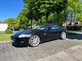 Jaguar XK 4.2L V8 Cabriolet - top gepflegt  - Jaguar XK: 4.2