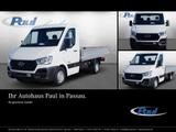 Hyundai H350 2.5 CRDi Pritsche L3 Klima+Zusatzluftfeder - Hyundai H350 Gebrauchtwagen