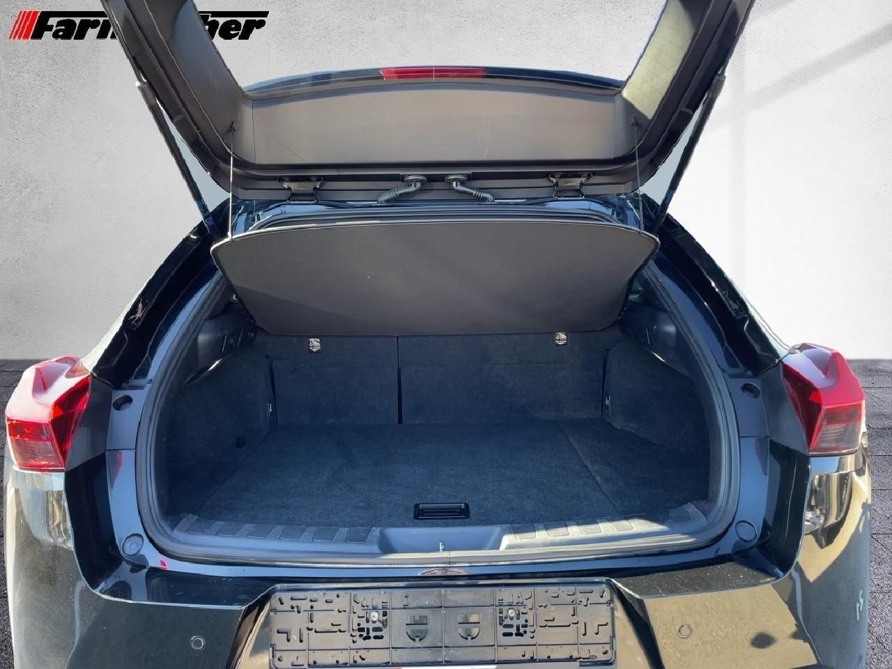 Fahrzeugabbildung Lexus UX 250h Style Edition