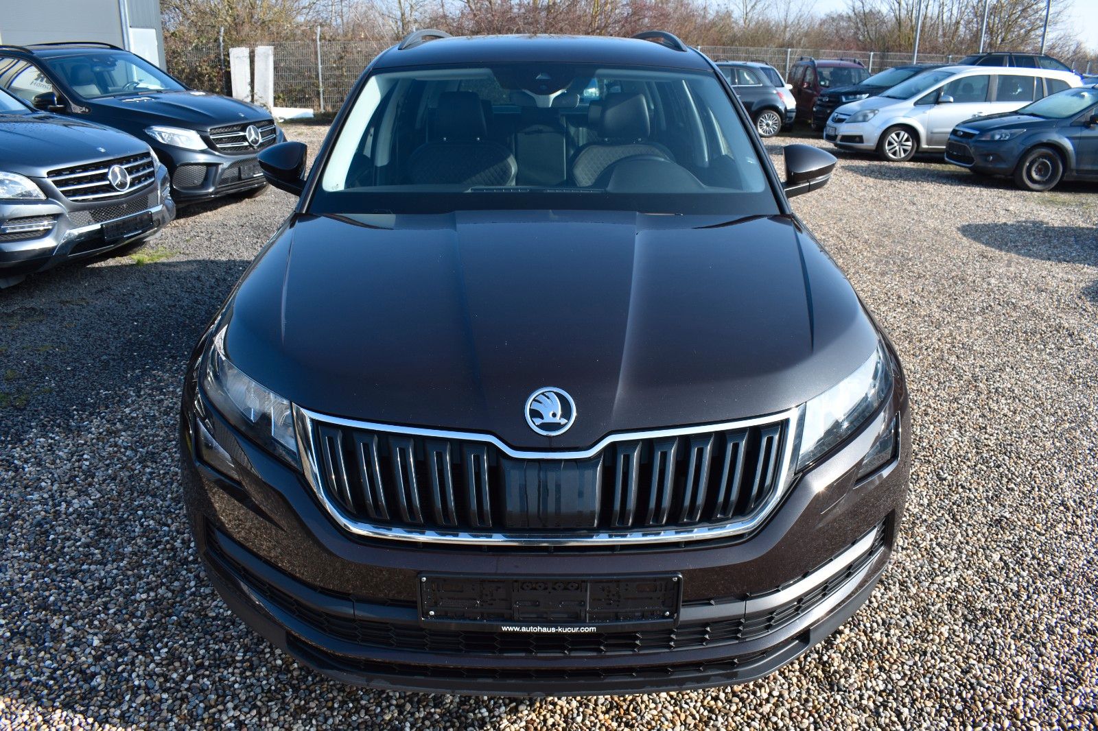 Fahrzeugabbildung SKODA Kodiaq Ambition 4x4