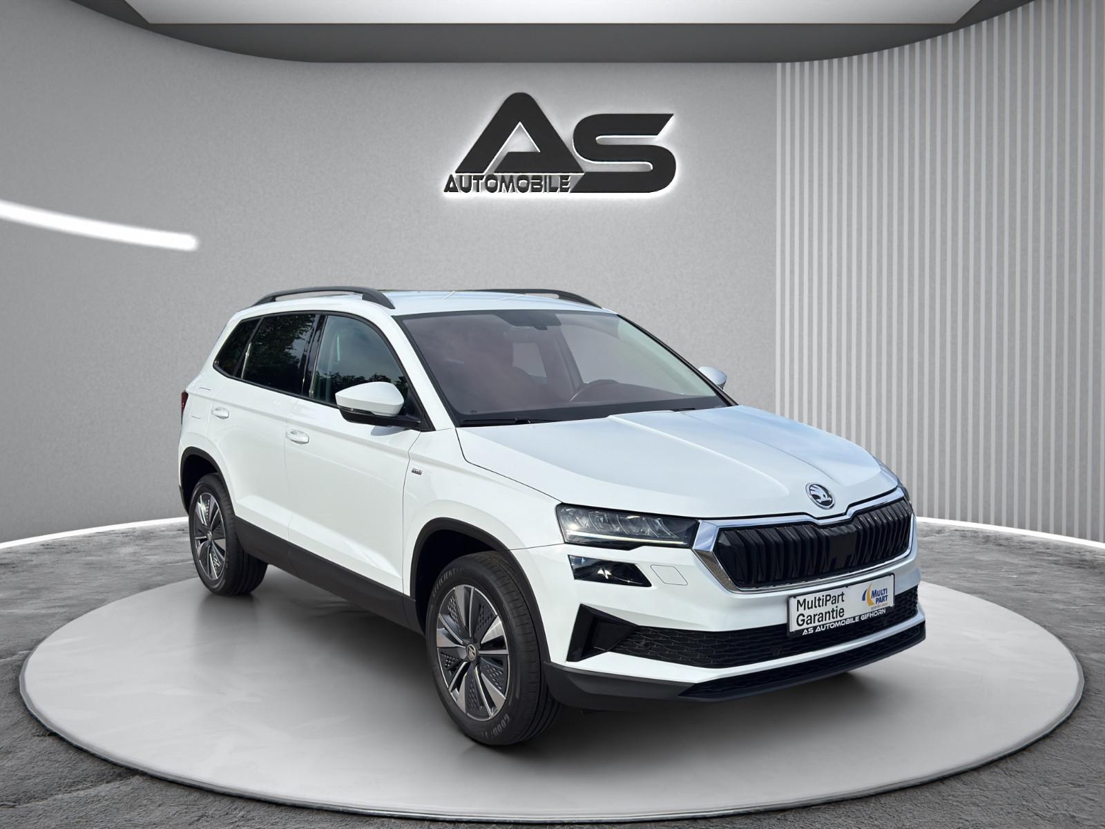 Skoda Karoq 2.0 TDI Tour Navi R.Kamera Virtual LED