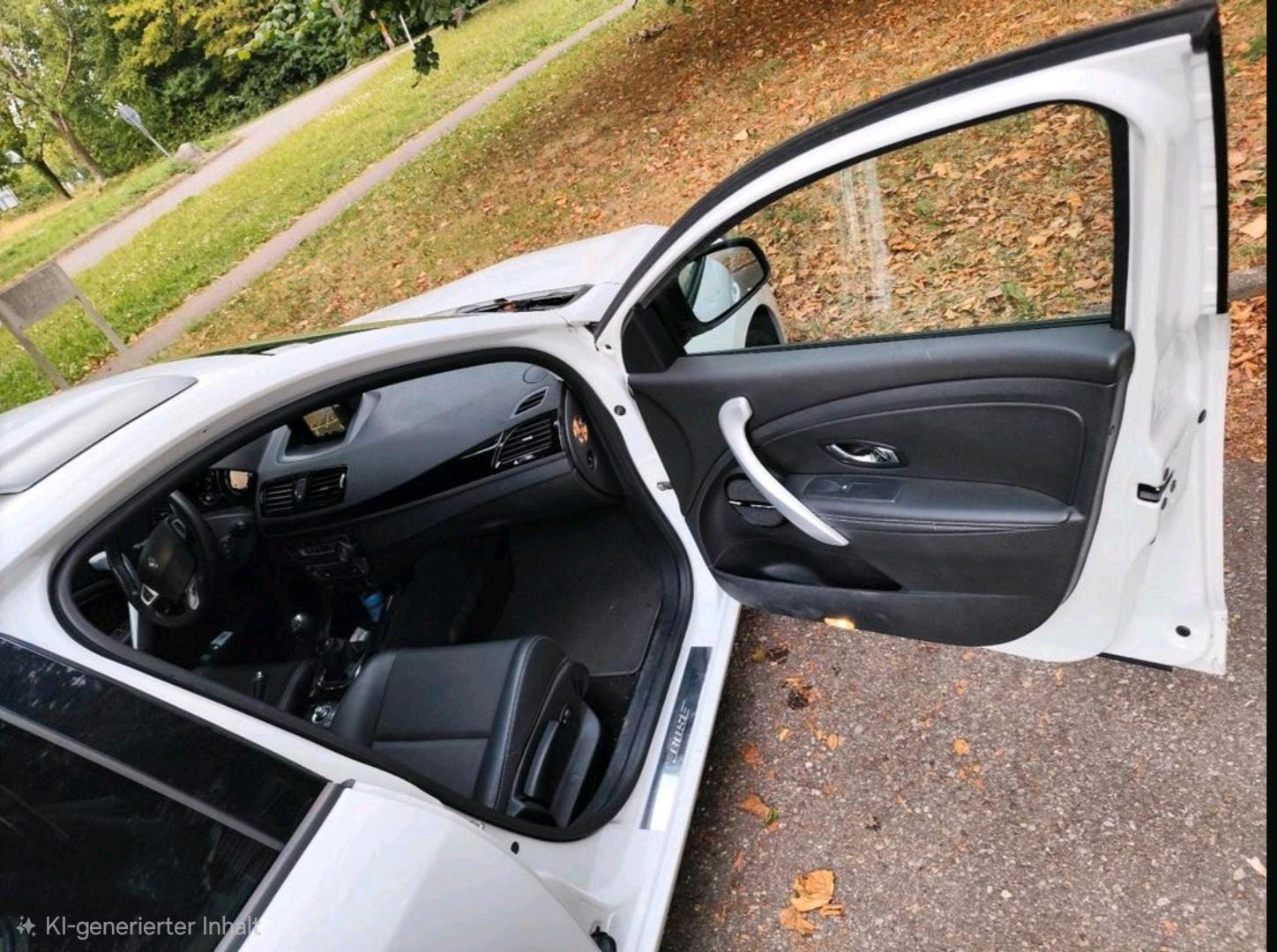Renault Megane 2012 — photo 12