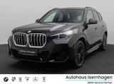 BMW X1 xD25e M Sport H/K Kamera Panorama DAB Memory - BMW: M1