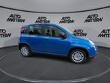 Fiat Panda 1,0 Hybrid PDC TFT Tacho Klima Bluetooth - Fiat Panda: Allradantrieb