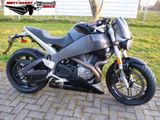 Buell XB12SCG Lightning low  1398 km ! SammlerZustand - Offers matching your search criteria